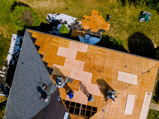 Best Commercial Roofing Services  in Odessa, FL