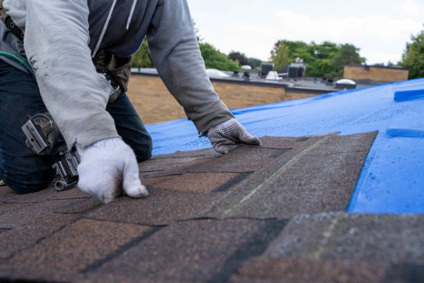 Best Shingle Roofing Installation  in Odessa, FL