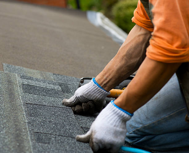 Best Commercial Roofing Services  in Odessa, FL