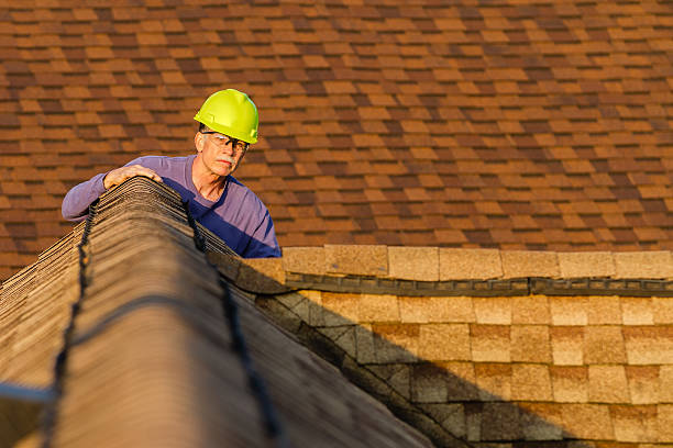 Best Storm Damage Roof Repair  in Odessa, FL