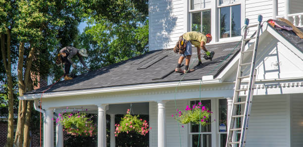 Best Roof Gutter Cleaning  in Odessa, FL